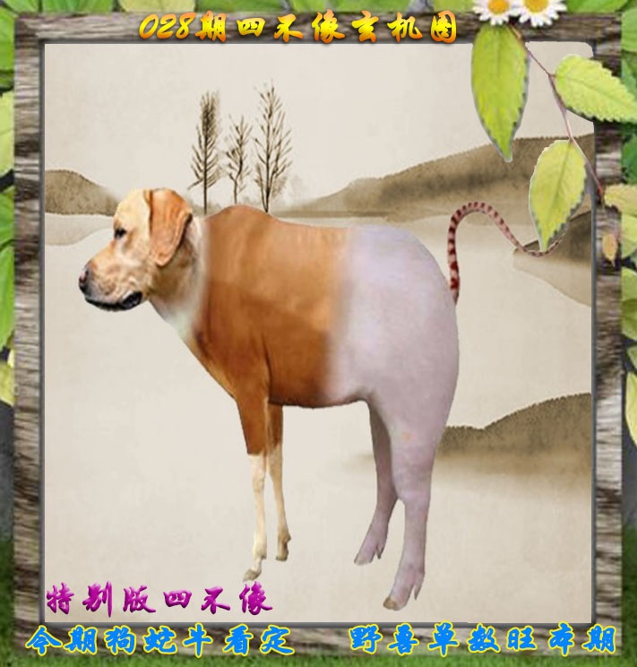 028期四不像特别版[图]